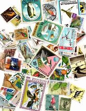 50 x Stamps of Birds from around the World My Ref 5452
