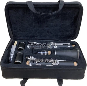 Mendini by Cecilio MCT-JE2 Clarinet - Used w/ Holding Case Only (9294054) - Picture 1 of 23