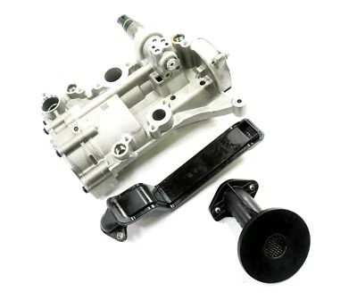 Porsche Panamera 2015 (970 G1) motor 4,8 L MCX.PA V8 - bomba de líquido de aceite de motor Foto 1 de 4