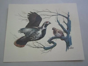 Old Vintage Wildlife PRINT - QUAIL - Birds - Fred Sweney - Heavily Embossed  - Picture 1 of 1