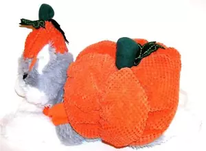 Animal Welfare League Benefit Halloween Costume Pet Parade DOG PUMPKIN SIZE L - Picture 1 of 1