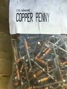 500 Stainless Steel 43 SS Pop Rivets 1/8" X 3/16" red green blue gray ss rivet - Picture 1 of 16