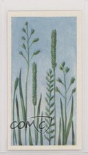 1960 Coopers Tea Strange But True Second Series Does Grass Feel Pain? #40 3v8