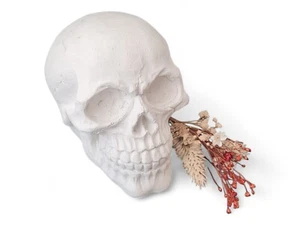 Molde de látex DIY adecuado para fundición en relieve de hormigón - Calavera (134) - Imagen 1 de 10