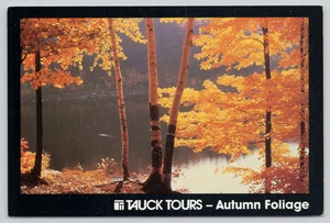 Postcard Tauck Tours Company - Autumn Foliage - Leaf Peepers - Advertising - Picture 1 of 2