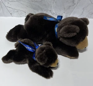 Plüsch Braunbären Bank des Westens Maskottchen liegend 12 Zoll Mama & 8 Zoll Baby - Bild 1 von 8