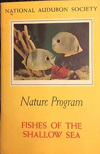 1956 National Audubon Society Nature Program Fishes of The Shallow Sea - Picture 1 of 8