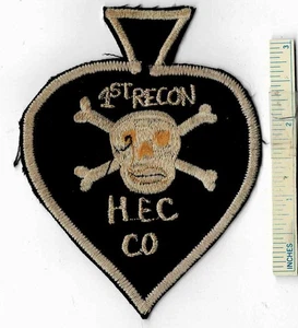 Vietnam War SKULL & CROSSBONES 1st Recon HEC Co Special Forces Ops Team Patch - Picture 1 of 2