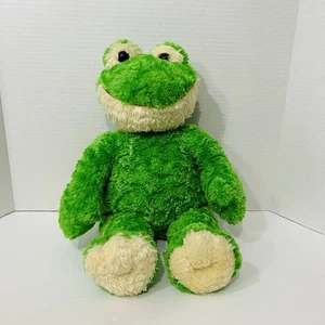 Costruisci Un Orso Ritirato Amichevole Rana Sorridente 18" Peluche Peluche Giocattolo - Foto 1 di 7