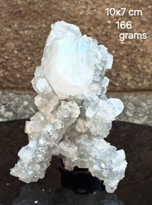 SUPERB APOPHYLLITE CLUSTERS ON CHALCEDONY STALACTITE BASE # 166 - Picture 1 of 4