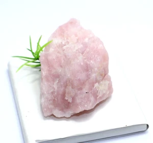 463CT Natural Madagascar Rosa Cuarzo Rosa Rough Certificado Suelto Raro Gema - Picture 1 of 7