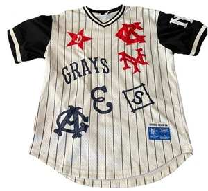 Ebbets Field Flannels Negro League Baseball Jersey Size L All Over Print HTF - Picture 1 of 8