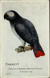 Parrot Capern's Perfectly Clean Bird Food postal publicitaria sin usar - Imagen 1 de 2