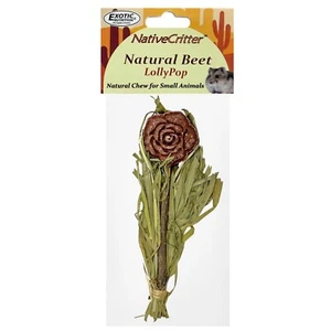 Remolacha natural Lollypop - Divertido y único masticable para conejos, cobayas, etc. - Imagen 1 de 6