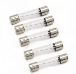 (5er Pack) EXP20AG Glasleitungssicherung, schneller Schlag, 20A - Bild 1 von 3