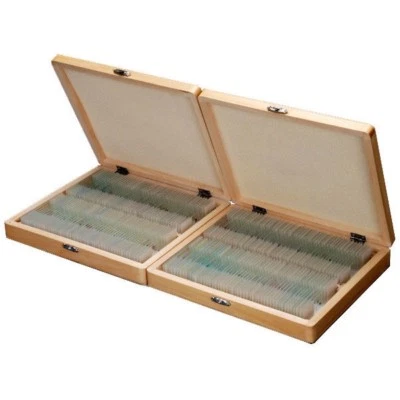 AmScope 200 Piece Set of Prepared Microscope Glass Slides with Box PS200 - Image 1 of 4