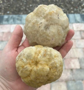 XL Unbroken DIY Whole Quartz Geode, Fairy Cave Break Your Own Geode - 1x Geode - Foto 1 di 3