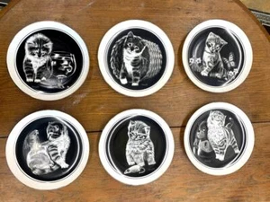 Royal Cornwall KITTENS WORLD 6 Plate Collection Excellent CONDITION - Picture 1 of 12