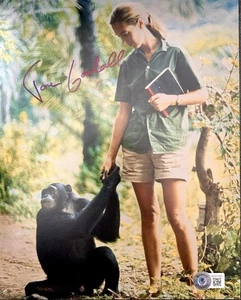 JANE GOODALL 8x10 PHOTO BECKETT BAS COA SIGNED AUTOGRAPH AUTO - Picture 1 of 3