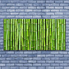 Leinwand-Bilder Wandbild Leinwandbild 140x70 Bambus Pflanzen