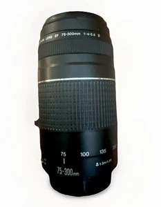 Cannon Zoom Objektiv Ef 75-300mm 1:4-5.6 III Top Zustand mit Kappen - Bild 1 von 7