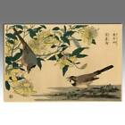 WOODBLOCK PRINT BIRDS WITH MAGNOLIA KITAO SHIGEMASA (1739-1820) JAPAN 20TH C. 