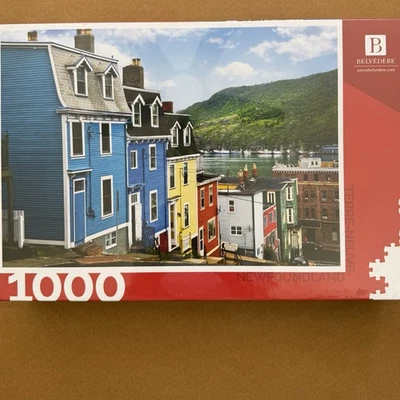 Trefl ST JOHN’S NEWFOUNDLAND 1000 Pc Jigsaw Puzzle #621482 27x19 Made in Poland - Image 1 of 4