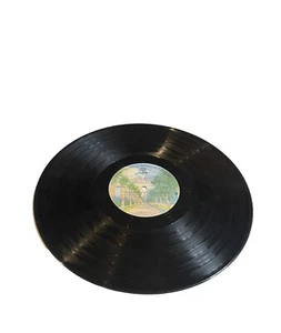Debbie Boone You Light Up My Life Vinyl Record 33RPM With The Boones - Picture 1 of 3