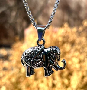 Collar unisex de aleación de acero plateado Elephant Luck & Prosperity para hombre - Imagen 1 de 8