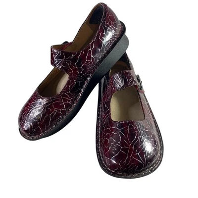Alegria Paloma Mary Jane 鞋女式美国 9.5 - 10 勃艮第裂纹专利 PAL-544 — 第 1/4 张图片
