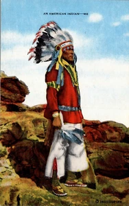 POSTCARD NATIVE AMERICAN INDIAN IN COLORFUL DRESS - Picture 1 of 2