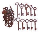 Lot de 25 clés en fer squelette steampunk