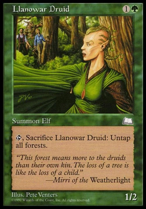 Llanowar Druid - Medium Play MTG Weatherlight - Image 1 of 1