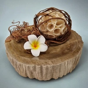 Decorative Bowl Petrified Wood Key Tray Stone Fossil Plate Soap Dish - Picture 1 of 5