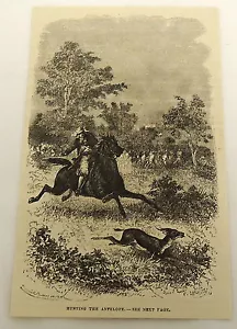 1878 Zeitschriftenstich ~ JAGD AUF DIE ANTILOPE - Bild 1 von 1