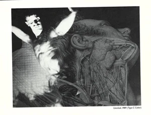 Robert Flynt (b. 1956) Art Announcement Card 1990 - Submergings - 5” X 7” - Picture 1 of 7