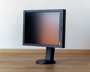 Eizo RadiForce RX240 21,3 1600x1200 Monitor Display medical Pivot Radiology etc - Bild 1 von 17