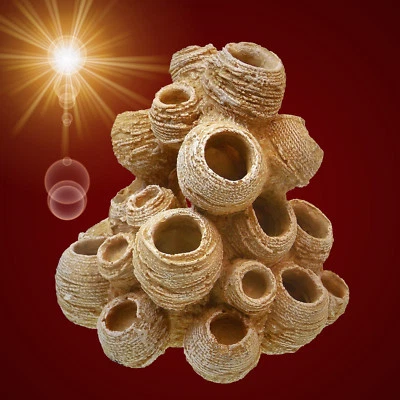 NOBBY Aquarium Deko ❤️ GARNELEN SEEPOCKEN STAPEL ❤️ Höhle Barsche Dekoration Zubehör