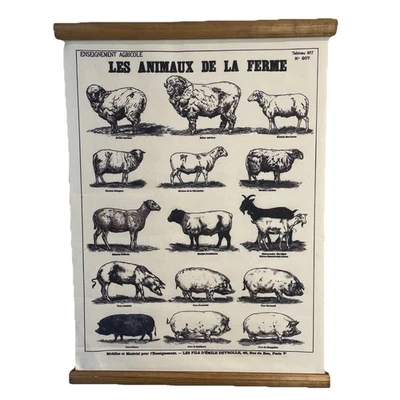 Rare Farm Animals Wall Scroll French Deyrolle Fabric MCM Country Kitchen Decor - Image 1 of 4