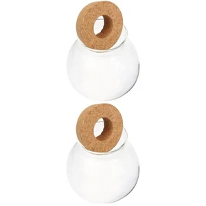  Incubadora de plantas de vidrio de 2 piezas estación de propagación de maceta hidropónica - Imagen 1 de 12