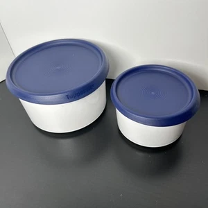 Tupperware Set di 2 ciotole Thatsa bianche con coperchio blu (575 ml - 1,4 L) - Foto 1 di 5
