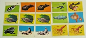 Sanitarium - Deep Sea Wonders - Set Of 25 Cards (1965) - Picture 1 of 4