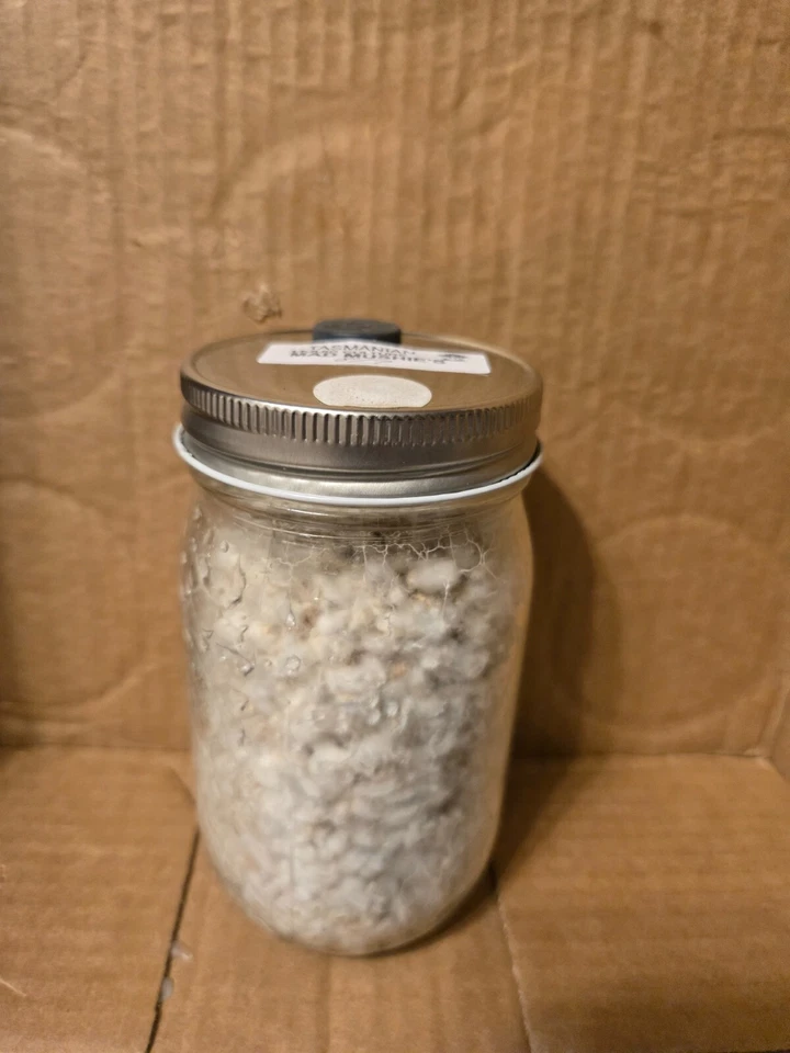 kit de estudio disponible Foto 1 de 1