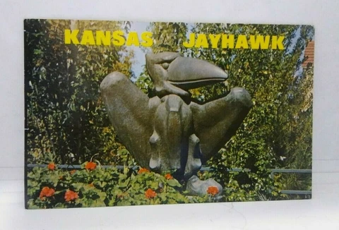VINTAGE KANSAS KU JAYHAWKS MASCOT UNIVERSITY OF KANSAS LAWRENCE KS. POSTCARD Cover
