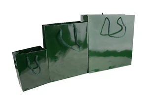 Green Paper Gift Bag - Glossy Eco Friendly Gift Bags Packaging with Handles - Picture 1 of 10