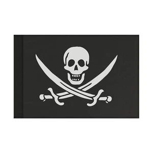 Pirate Flag - Picture 1 of 13