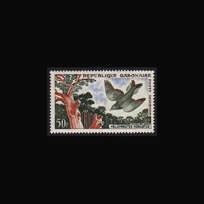 Gabón, Sc #C4, MNH, 1961, guía de miel con cola de lira, pájaro, A5SDD-A Foto 1 de 1