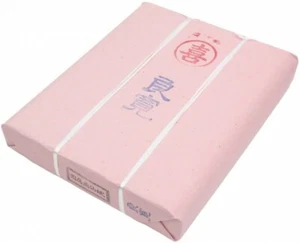 100 pennelli di carta Sumie Xuan pittura calligrafia Inshu Washi Ryokan 35x136 cm - Foto 1 di 2