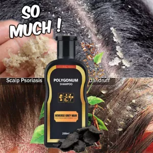 Hair Darkening Shampoo Gray Hair Reverse Natural Polygonum Essence Care Shampoo - Picture 1 of 12