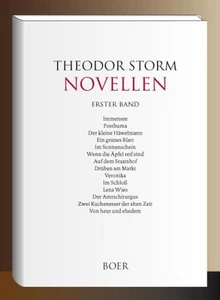 Novellen Band 1 Theodor Storm Storm, Theodor: - Bild 1 von 1